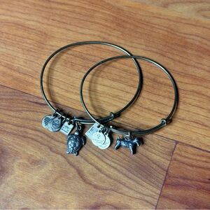 Alex and Ani Charity Bronze Charm Bangle Bracelets Monopoly Dog Sea Turtle LOT